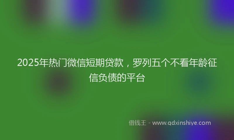 2025年热门微信短期贷款，罗列五个不看年龄征信负债的平台