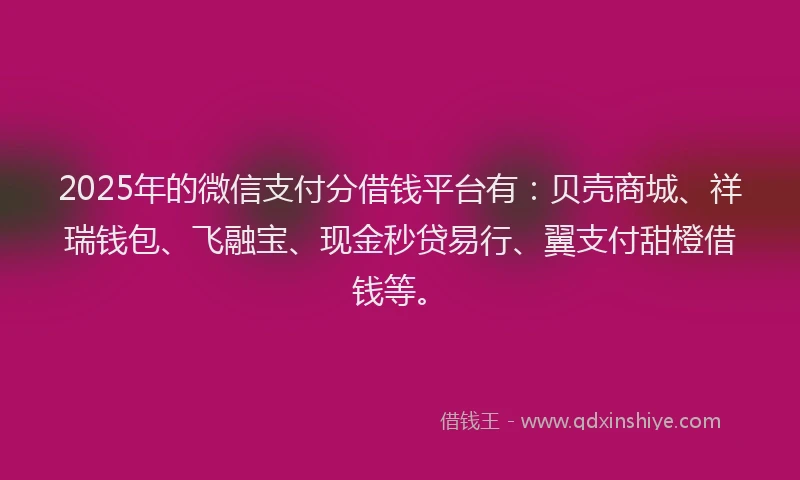 2025年的微信支付分借钱平台有：贝壳商城、祥瑞钱包、飞融宝、现金秒贷易行、翼支付甜橙借钱等。
