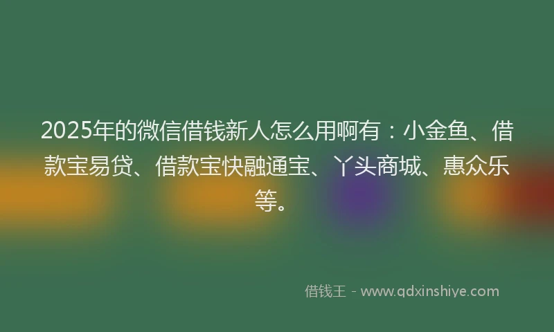 2025年的微信借钱新人怎么用啊有：小金鱼、借款宝易贷、借款宝快融通宝、丫头商城、惠众乐等。