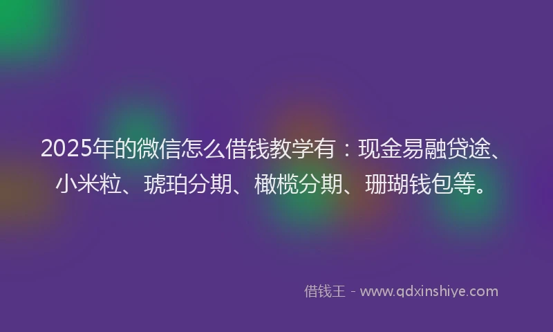 2025年的微信怎么借钱教学有：现金易融贷途、小米粒、琥珀分期、橄榄分期、珊瑚钱包等。
