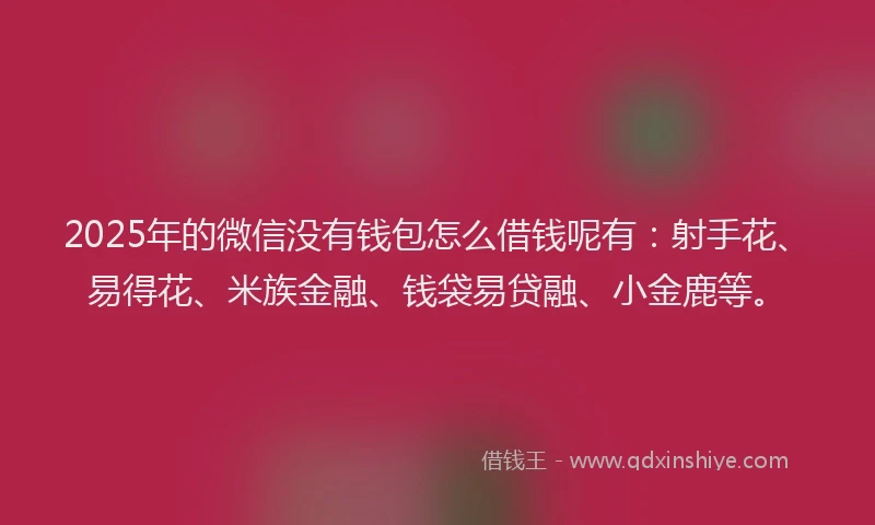 2025年的微信没有钱包怎么借钱呢有：射手花、易得花、米族金融、钱袋易贷融、小金鹿等。