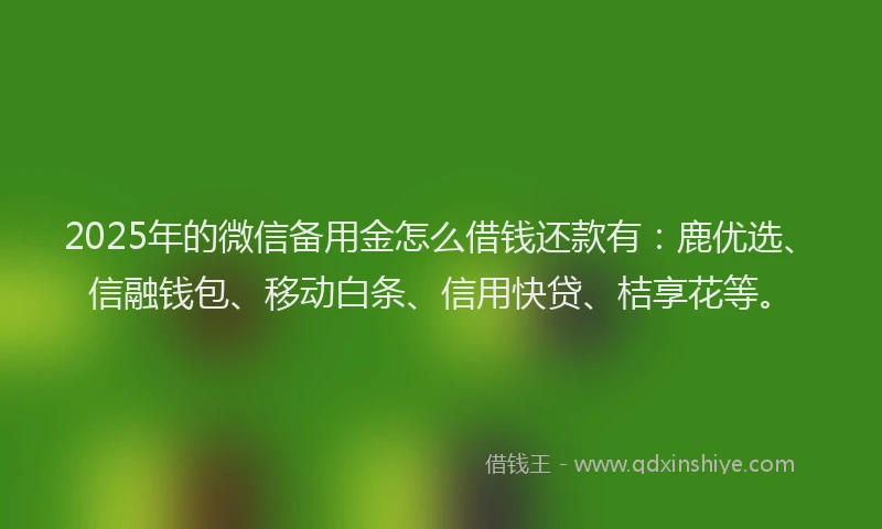 2025年的微信备用金怎么借钱还款有：鹿优选、信融钱包、移动白条、信用快贷、桔享花等。