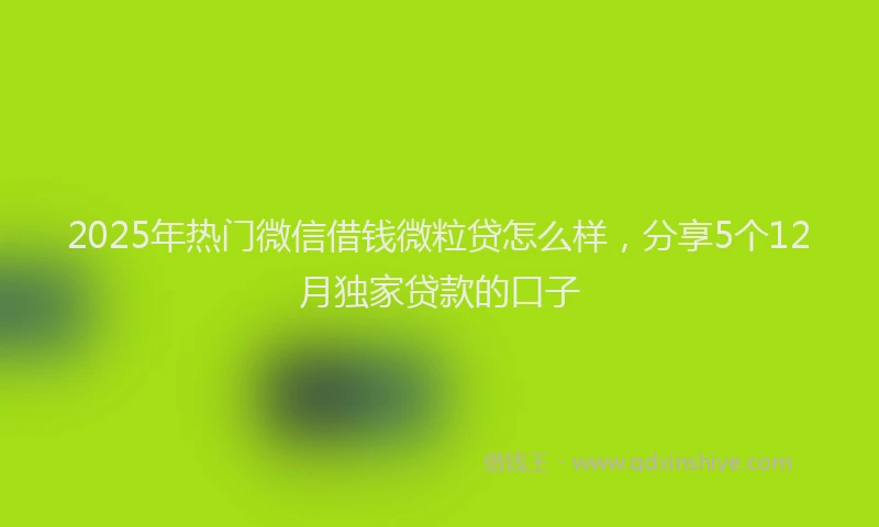 2025年热门微信借钱微粒贷怎么样，分享5个12月独家贷款的口子