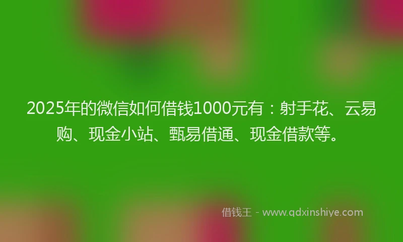 2025年的微信如何借钱1000元有：射手花、云易购、现金小站、甄易借通、现金借款等。