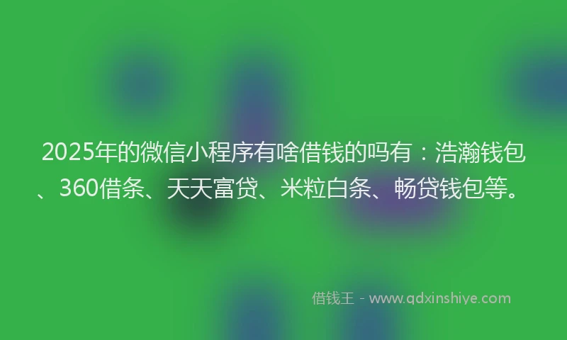 2025年的微信小程序有啥借钱的吗有：浩瀚钱包、360借条、天天富贷、米粒白条、畅贷钱包等。