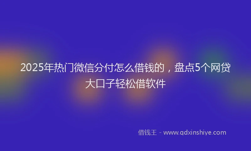 2025年热门微信分付怎么借钱的，盘点5个网贷大口子轻松借软件