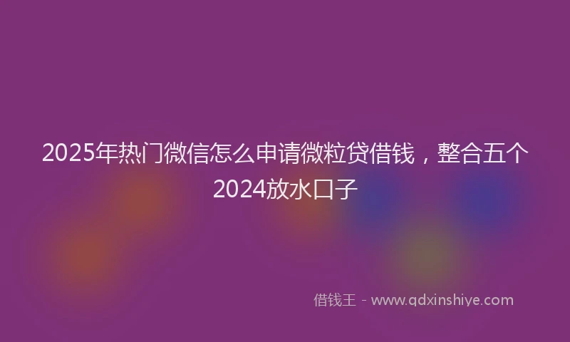 2025年热门微信怎么申请微粒贷借钱，整合五个2024放水口子
