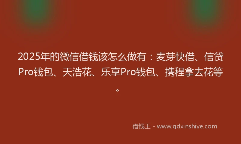 2025年的微信借钱该怎么做有：麦芽快借、信贷Pro钱包、天浩花、乐享Pro钱包、携程拿去花等。