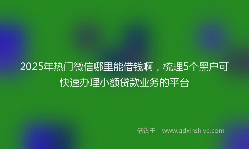 2025年热门微信哪里能借钱啊，梳理5个黑户可快速办理小额贷款业务的平台