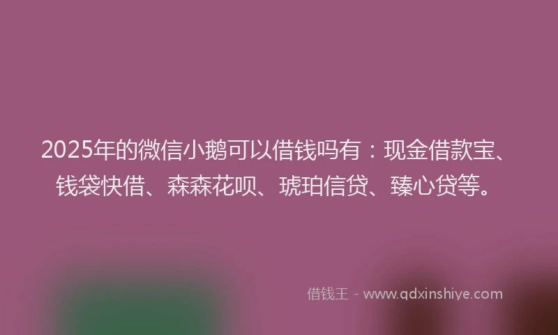 2025年的微信小鹅可以借钱吗有：现金借款宝、钱袋快借、森森花呗、琥珀信贷、臻心贷等。