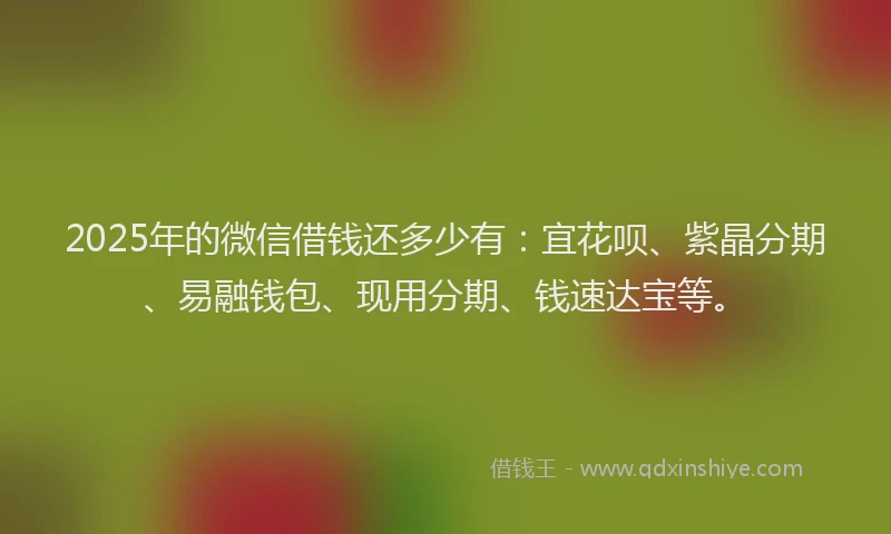 2025年的微信借钱还多少有：宜花呗、紫晶分期、易融钱包、现用分期、钱速达宝等。