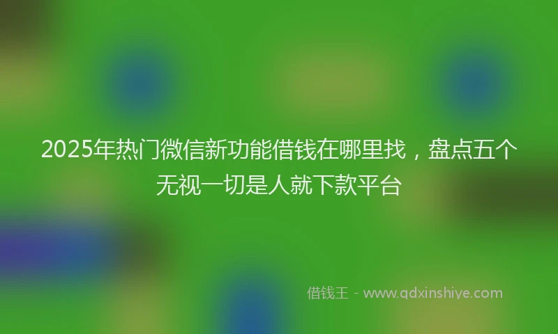 2025年热门微信新功能借钱在哪里找，盘点五个无视一切是人就下款平台