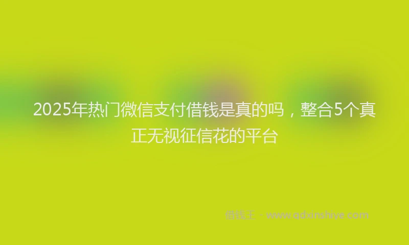 2025年热门微信支付借钱是真的吗，整合5个真正无视征信花的平台