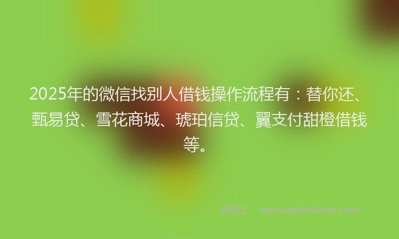 2025年的微信找别人借钱操作流程有：替你还、甄易贷、雪花商城、琥珀信贷、翼支付甜橙借钱等。