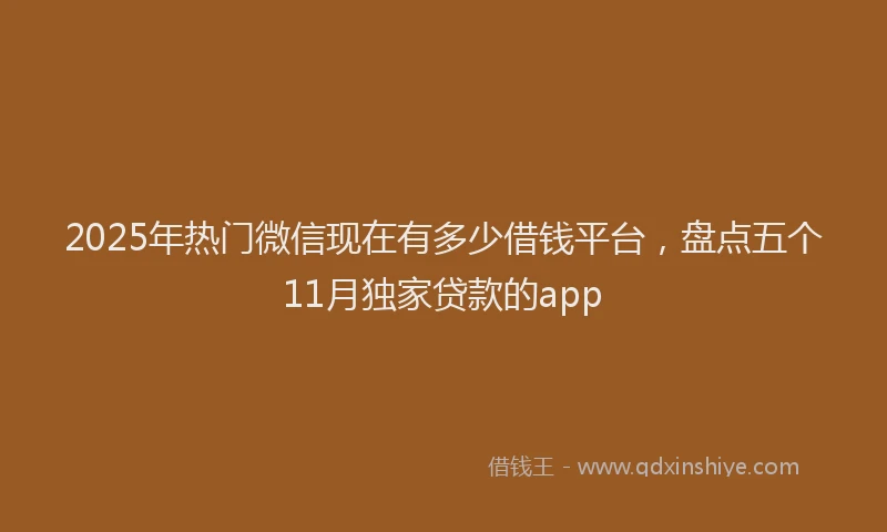 2025年热门微信现在有多少借钱平台，盘点五个11月独家贷款的app