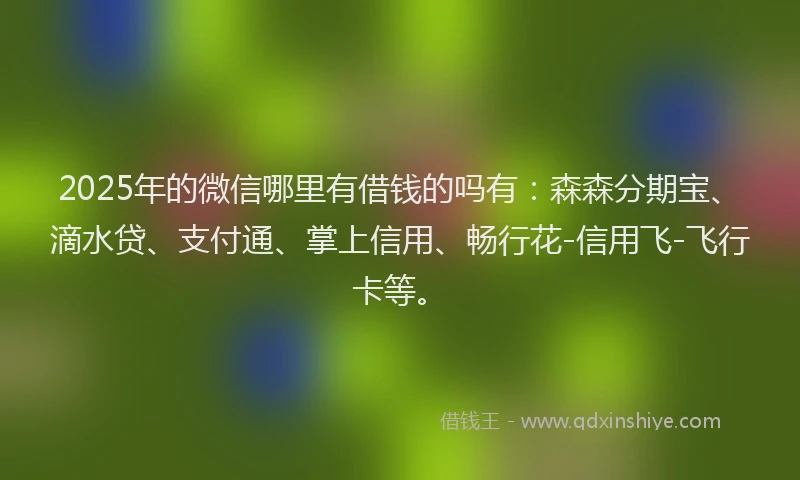 2025年的微信哪里有借钱的吗有：森森分期宝、滴水贷、支付通、掌上信用、畅行花-信用飞-飞行卡等。
