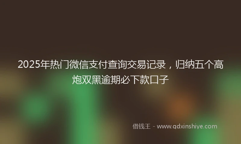 2025年热门微信支付查询交易记录，归纳五个高炮双黑逾期必下款口子