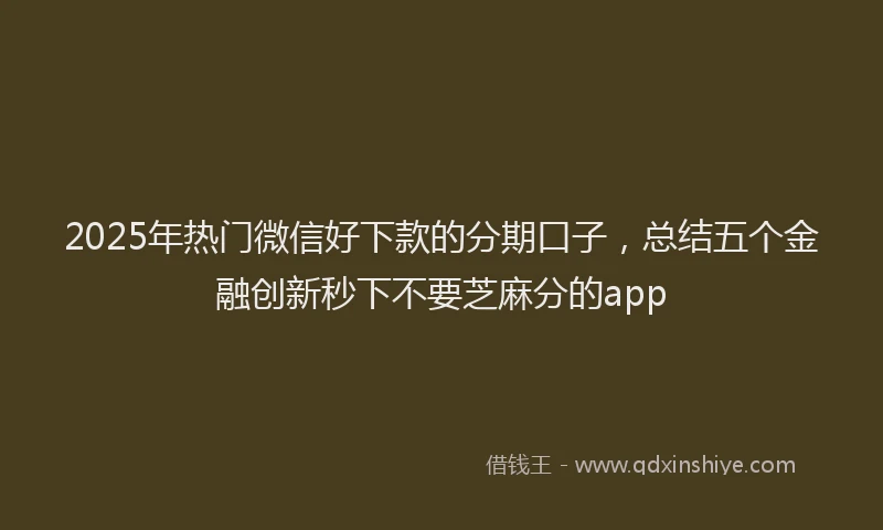 2025年热门微信好下款的分期口子，总结五个金融创新秒下不要芝麻分的app