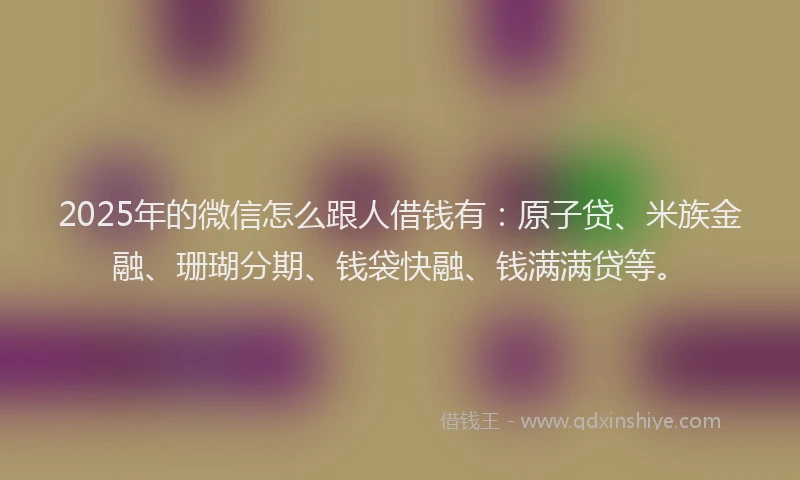 2025年的微信怎么跟人借钱有：原子贷、米族金融、珊瑚分期、钱袋快融、钱满满贷等。
