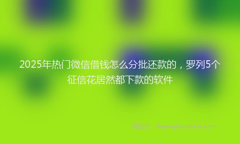 2025年热门微信借钱怎么分批还款的，罗列5个征信花居然都下款的软件