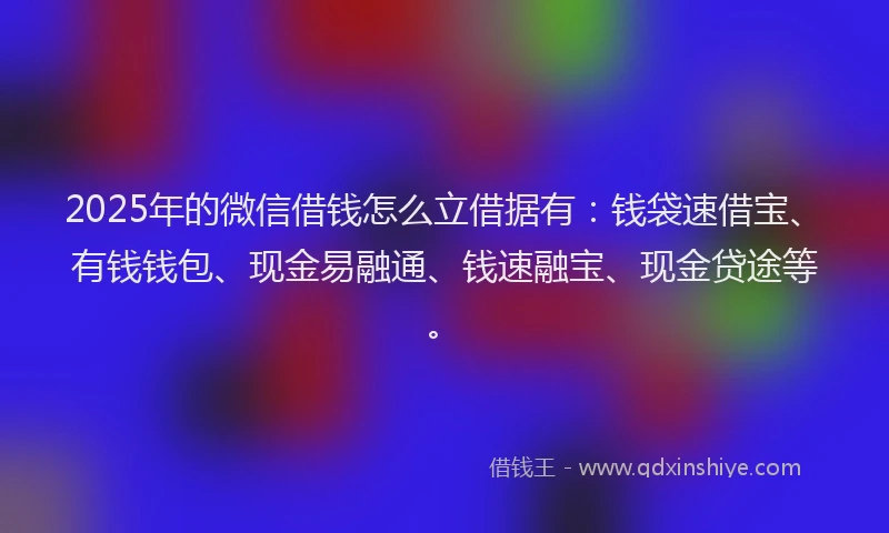 2025年的微信借钱怎么立借据有：钱袋速借宝、有钱钱包、现金易融通、钱速融宝、现金贷途等。