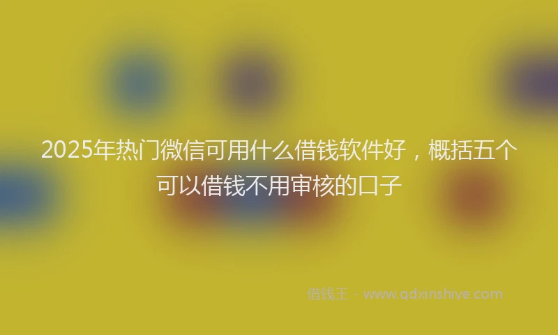 2025年热门微信可用什么借钱软件好，概括五个可以借钱不用审核的口子
