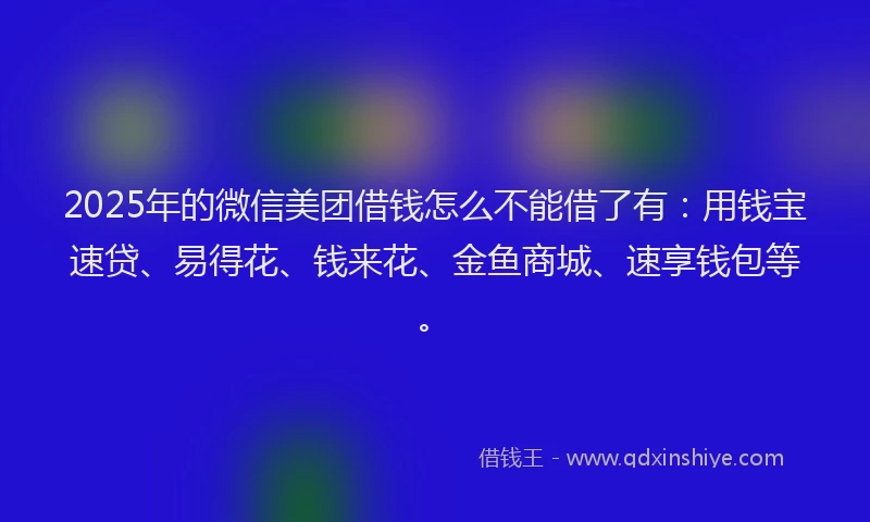 2025年的微信美团借钱怎么不能借了有：用钱宝速贷、易得花、钱来花、金鱼商城、速享钱包等。