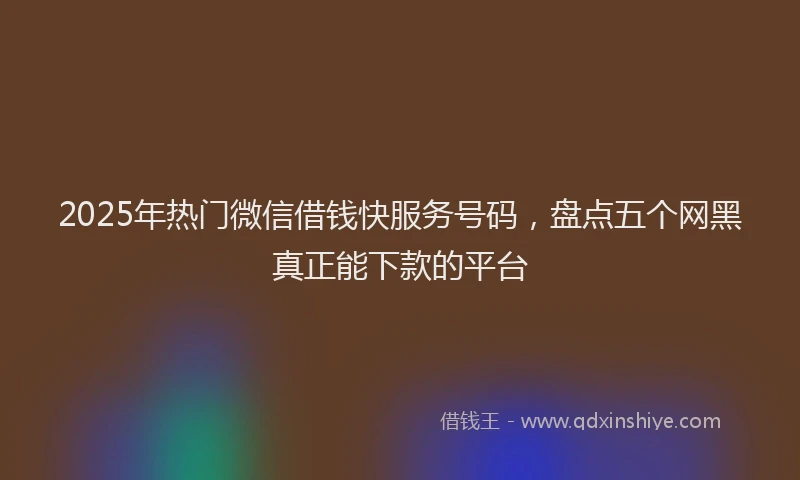2025年热门微信借钱快服务号码，盘点五个网黑真正能下款的平台