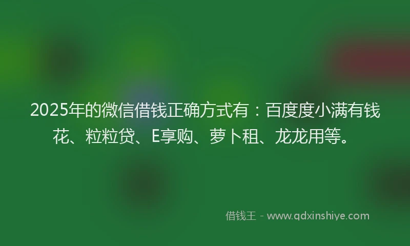 2025年的微信借钱正确方式有：百度度小满有钱花、粒粒贷、E享购、萝卜租、龙龙用等。