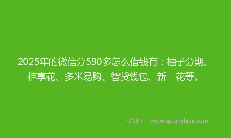 2025年的微信分590多怎么借钱有：柚子分期、桔享花、多米易购、智贷钱包、新一花等。