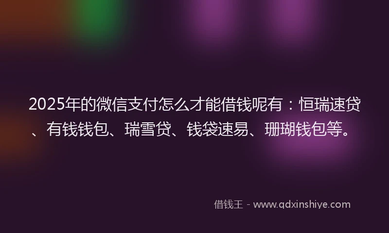 2025年的微信支付怎么才能借钱呢有：恒瑞速贷、有钱钱包、瑞雪贷、钱袋速易、珊瑚钱包等。