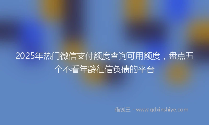 2025年热门微信支付额度查询可用额度，盘点五个不看年龄征信负债的平台