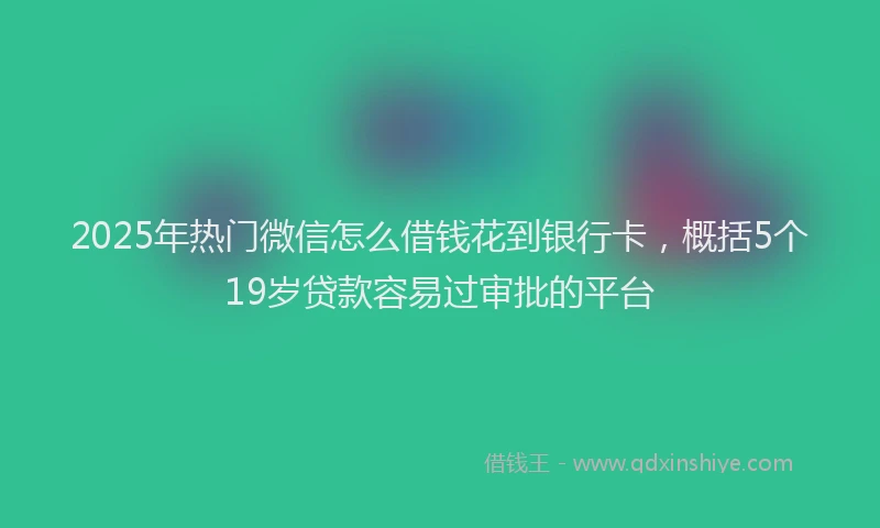 2025年热门微信怎么借钱花到银行卡，概括5个19岁贷款容易过审批的平台