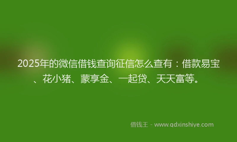 2025年的微信借钱查询征信怎么查有：借款易宝、花小猪、蒙享金、一起贷、天天富等。