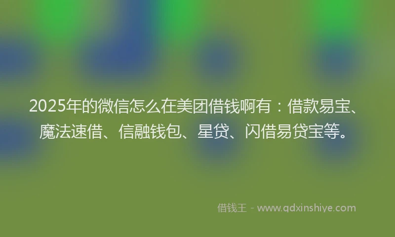 2025年的微信怎么在美团借钱啊有：借款易宝、魔法速借、信融钱包、星贷、闪借易贷宝等。