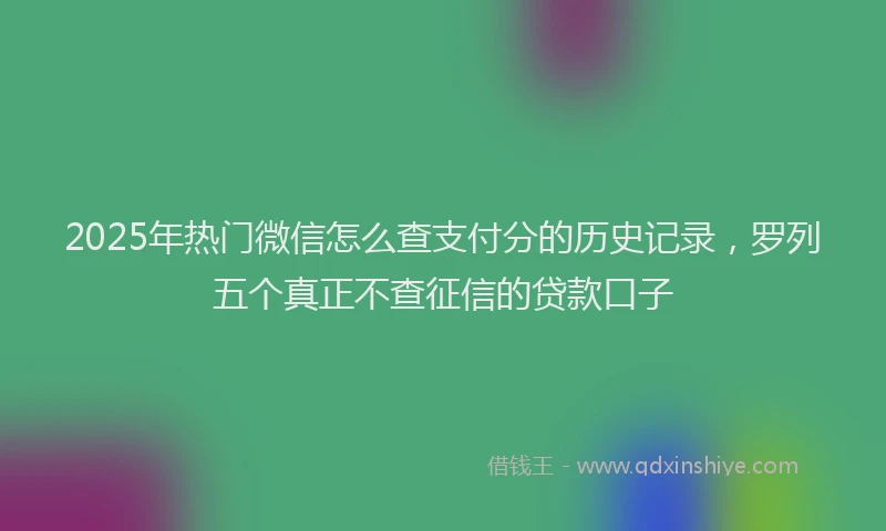 2025年热门微信怎么查支付分的历史记录，罗列五个真正不查征信的贷款口子