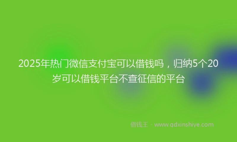 2025年热门微信支付宝可以借钱吗，归纳5个20岁可以借钱平台不查征信的平台