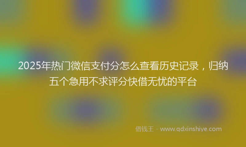 2025年热门微信支付分怎么查看历史记录，归纳五个急用不求评分快借无忧的平台