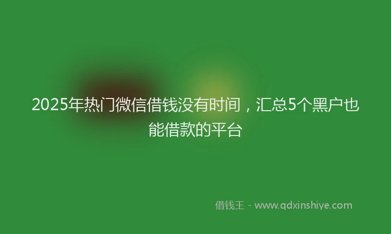2025年热门微信借钱没有时间，汇总5个黑户也能借款的平台