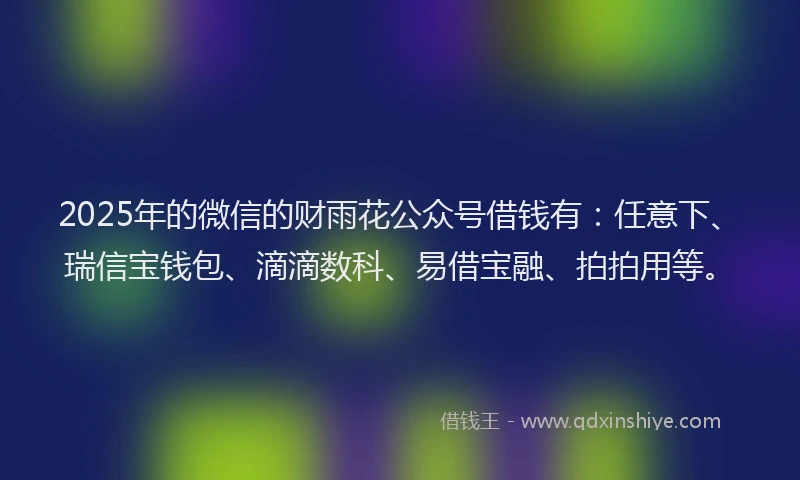 2025年的微信的财雨花公众号借钱有：任意下、瑞信宝钱包、滴滴数科、易借宝融、拍拍用等。
