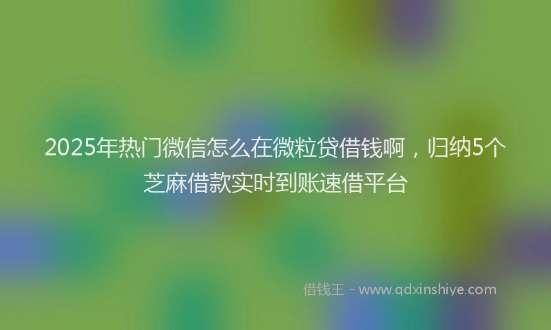 2025年热门微信怎么在微粒贷借钱啊，归纳5个芝麻借款实时到账速借平台