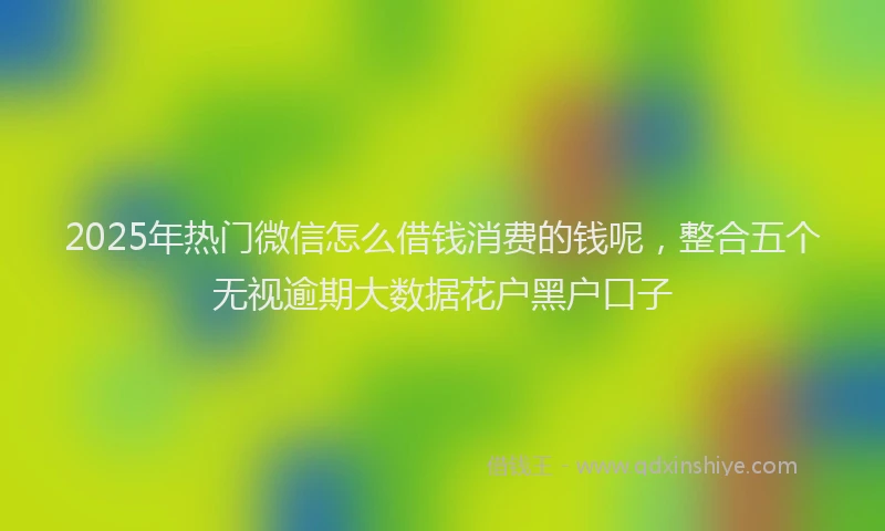 2025年热门微信怎么借钱消费的钱呢，整合五个无视逾期大数据花户黑户口子