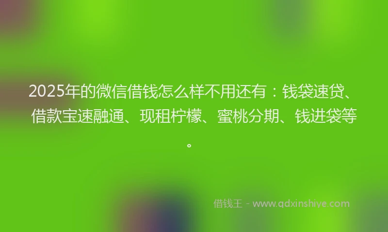 2025年的微信借钱怎么样不用还有：钱袋速贷、借款宝速融通、现租柠檬、蜜桃分期、钱进袋等。