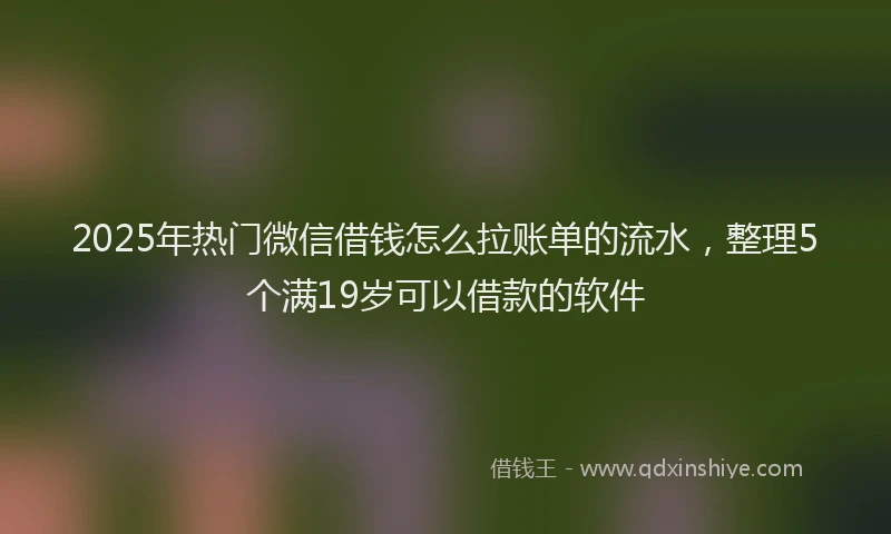 2025年热门微信借钱怎么拉账单的流水，整理5个满19岁可以借款的软件