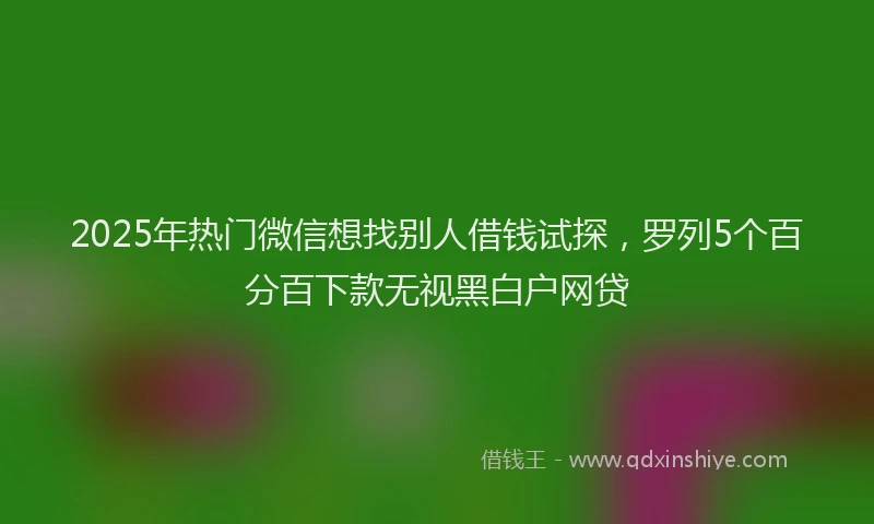 2025年热门微信想找别人借钱试探，罗列5个百分百下款无视黑白户网贷