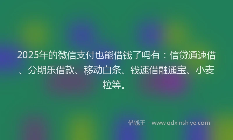 2025年的微信支付也能借钱了吗有：信贷通速借、分期乐借款、移动白条、钱速借融通宝、小麦粒等。