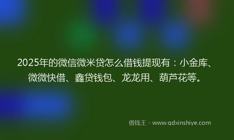 2025年的微信微米贷怎么借钱提现有：小金库、微微快借、鑫贷钱包、龙龙用、葫芦花等。