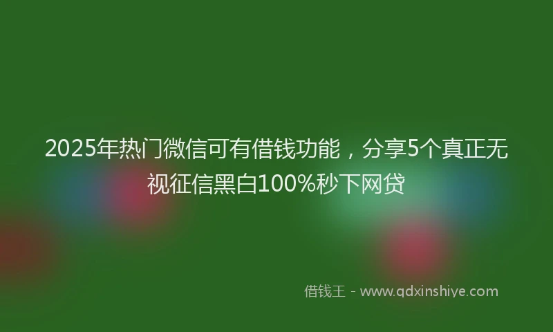 2025年热门微信可有借钱功能，分享5个真正无视征信黑白100%秒下网贷