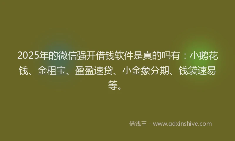 2025年的微信强开借钱软件是真的吗有：小鹅花钱、金租宝、盈盈速贷、小金象分期、钱袋速易等。