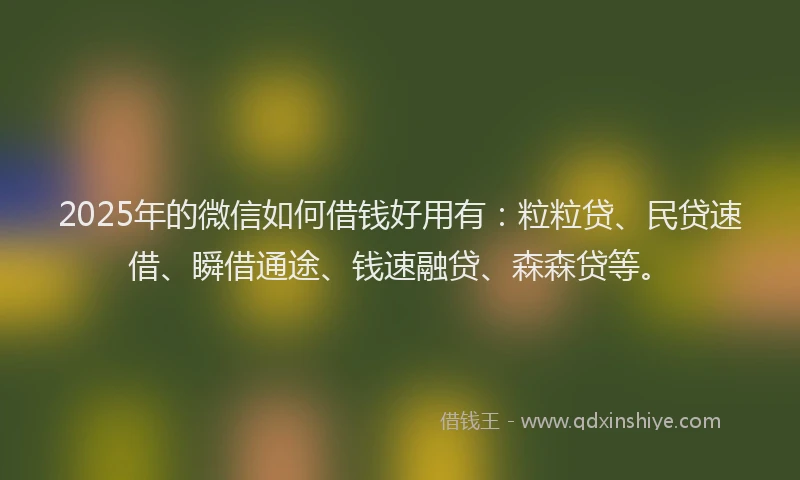 2025年的微信如何借钱好用有：粒粒贷、民贷速借、瞬借通途、钱速融贷、森森贷等。